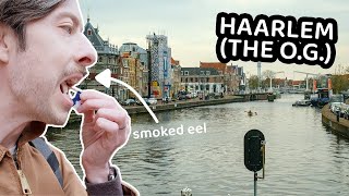 PALING + FONDUE IN BEAUTIFUL HAARLEM 🇳🇱 (haarlem travel guide, netherlands)