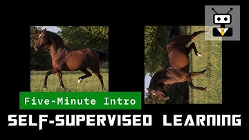 What is Self-Supervised Learning? [Quick Introduction]