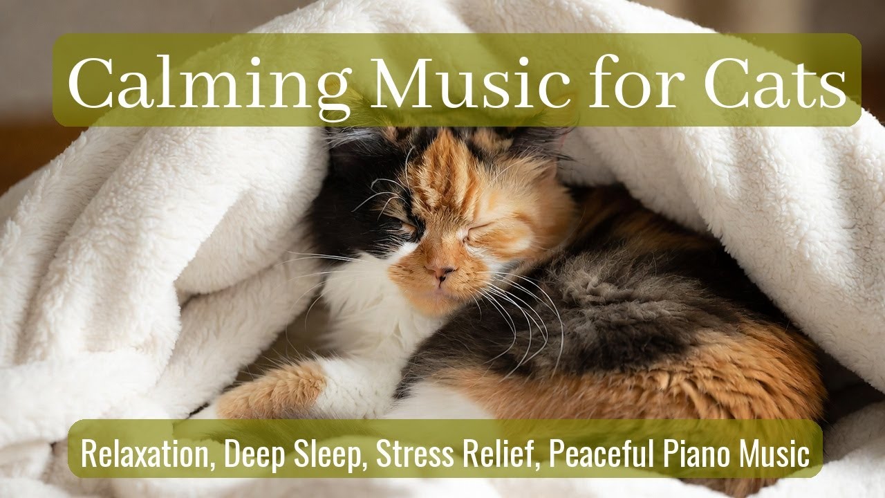Calming Music for Cats - Relaxation, Deep Sleep, Stress Relief, Peaceful Piano Music | Season 59
