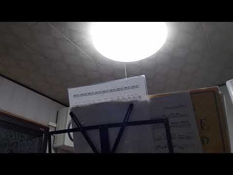 ALTES flute method 2 18-4