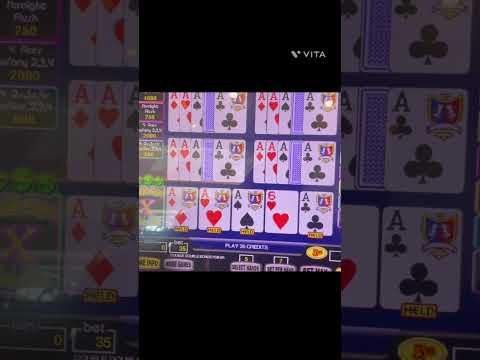 Giocate al Casinò Online con AceGameCasino: La Migliore Esperienza di Gioco in Italia