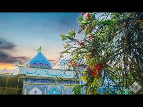 نشيد يوم الأمل ولادة الإمام المهدي القائم المنتظر 15 شعبان 