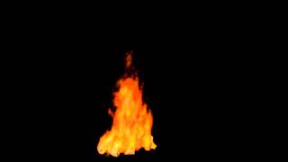 Wood burn test in maya fluid