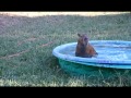 Exiting the Pool with Style