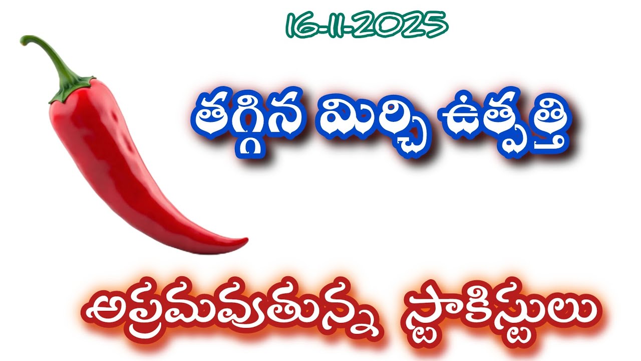 తగ్గిన మిర్చి ఉత్పత్తి... అప్రమవుతున్న స్టాకిస్టులు