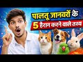 🐶 क्या आप जानते हैं? पालतू जानवरों के ये 5 Secret Facts