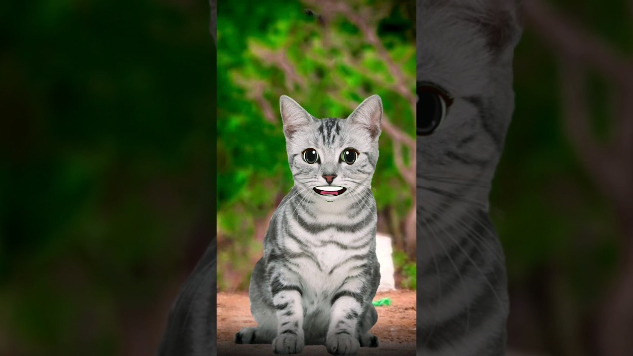 बिल्ली और चाँद | comedypersecond | oyehoye | 