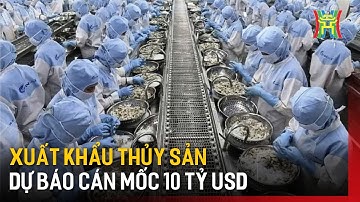 Xuất khẩu thủy sản dự báo cán mốc 10 tỷ USD | Tin tức