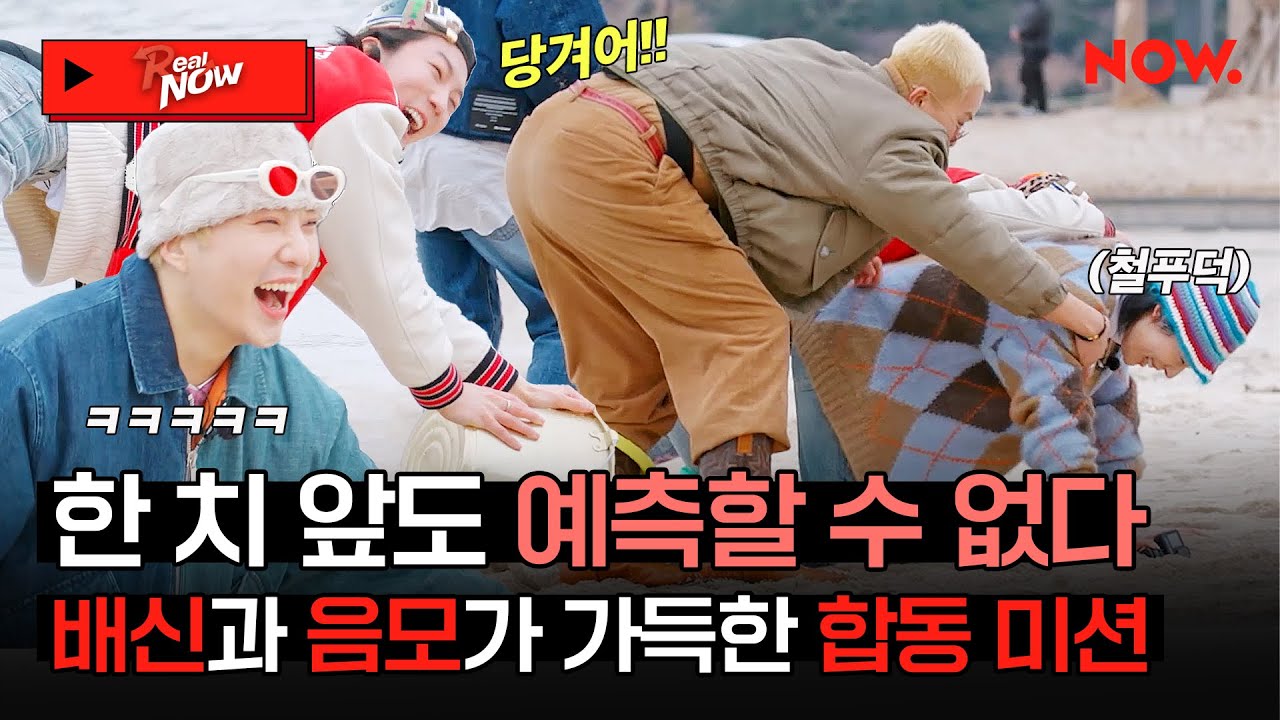 (SUB) 저희 싸우는 거 아니에요🤣 배신과 음모로 가득 찬(?) 위너(WINNER)의 합동 미션! [Real NOW 위너]ㅣ네이버 NOW.