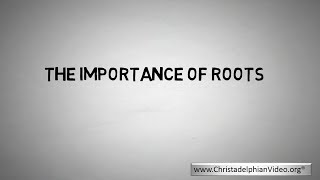 The Importance of Roots!
