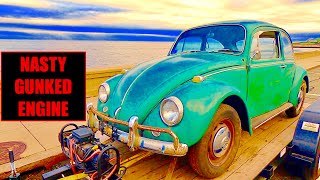 FIRST START ! WILL IT RUN ? 1967 VW Beetle sitting for years Found & Rescued - VW Bug Revival : P2