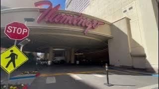 Walkthrough Flamingo Casino | Las Vegas 2024