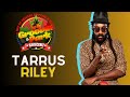 Tarrus Riley Brings the Vibes at Groovin in the Park (Performance Highlights)