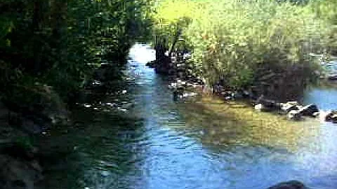 Livin' is easy on the American River