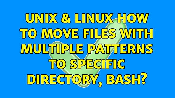 Unix & Linux: How to move files with multiple patterns to specific directory, bash? (3 Solutions!!)