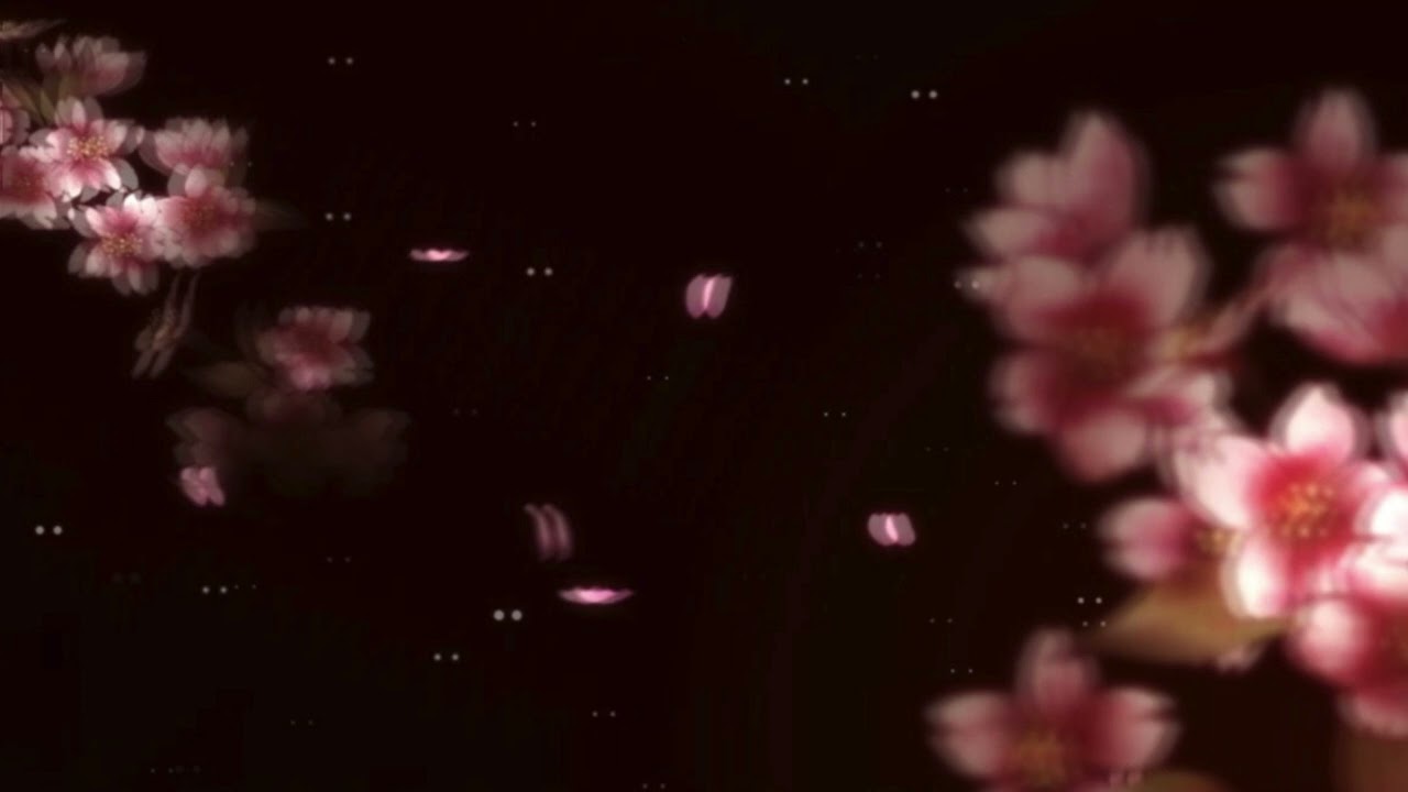 [free for profit] Bvcovia Type Beat - "Floare"