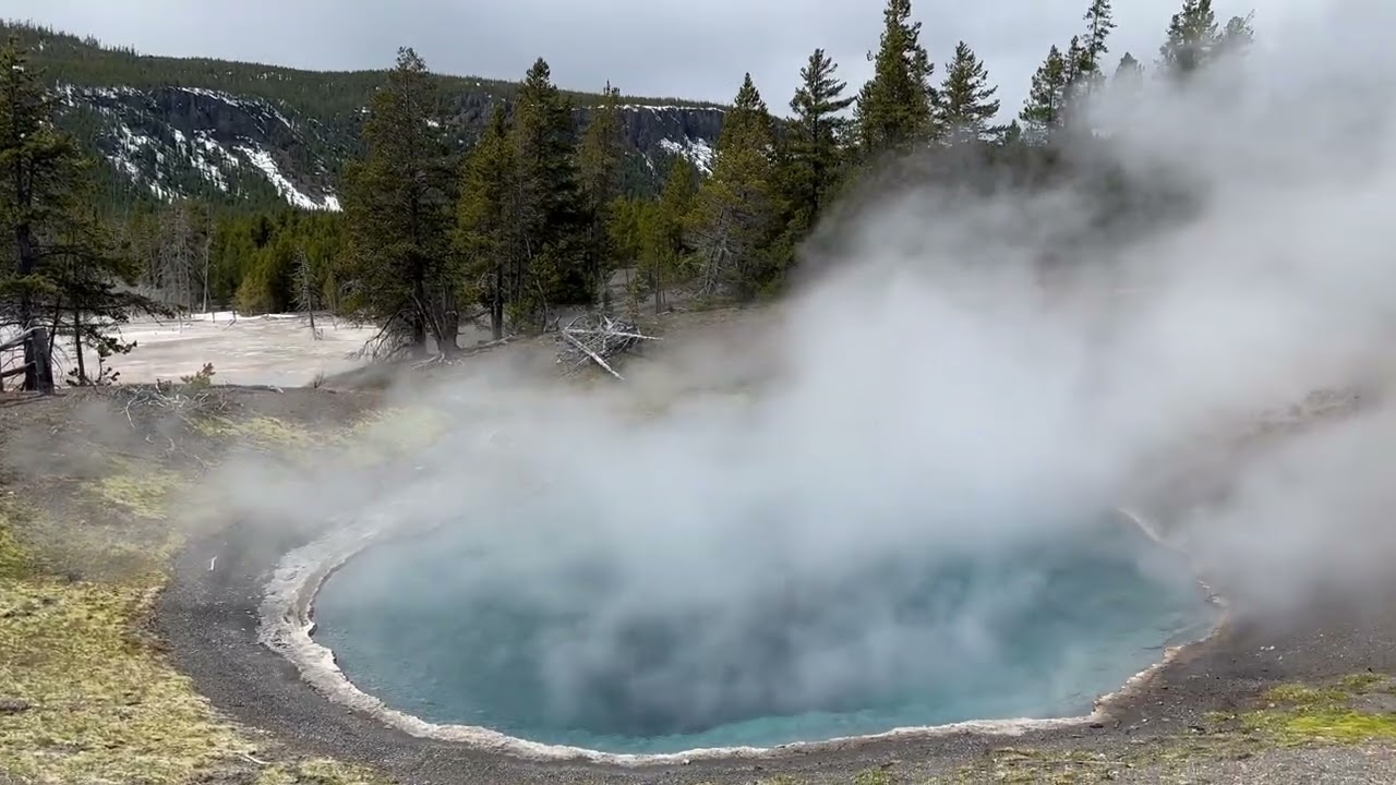 Walking in Yellowstone National Park 