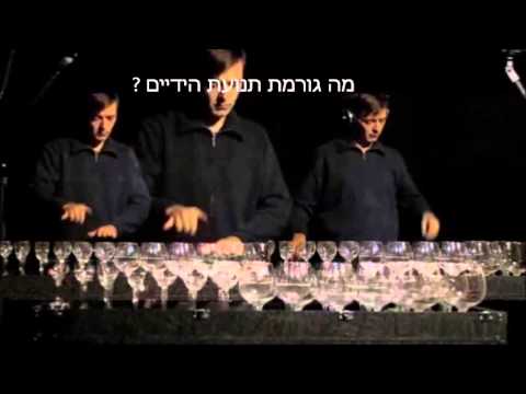 וִידֵאוֹ: מהם סוגי הכוסות, הכוסות וכוסות היין