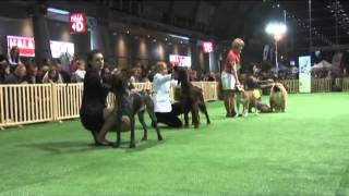 Buba Kastorsky Art Of Staff. Poland. Jbis-Iii