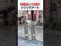 超面白い中国のトリックアート