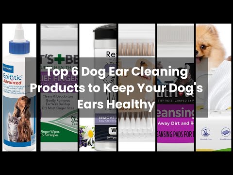 【Dog ear cleaning】Top 6 Dog Ear Cleaning Products to Keep Your Dog's Ears Healthy