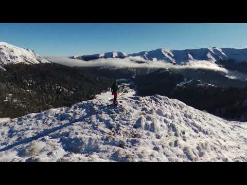 Magic Dronies Parrot Bebop2