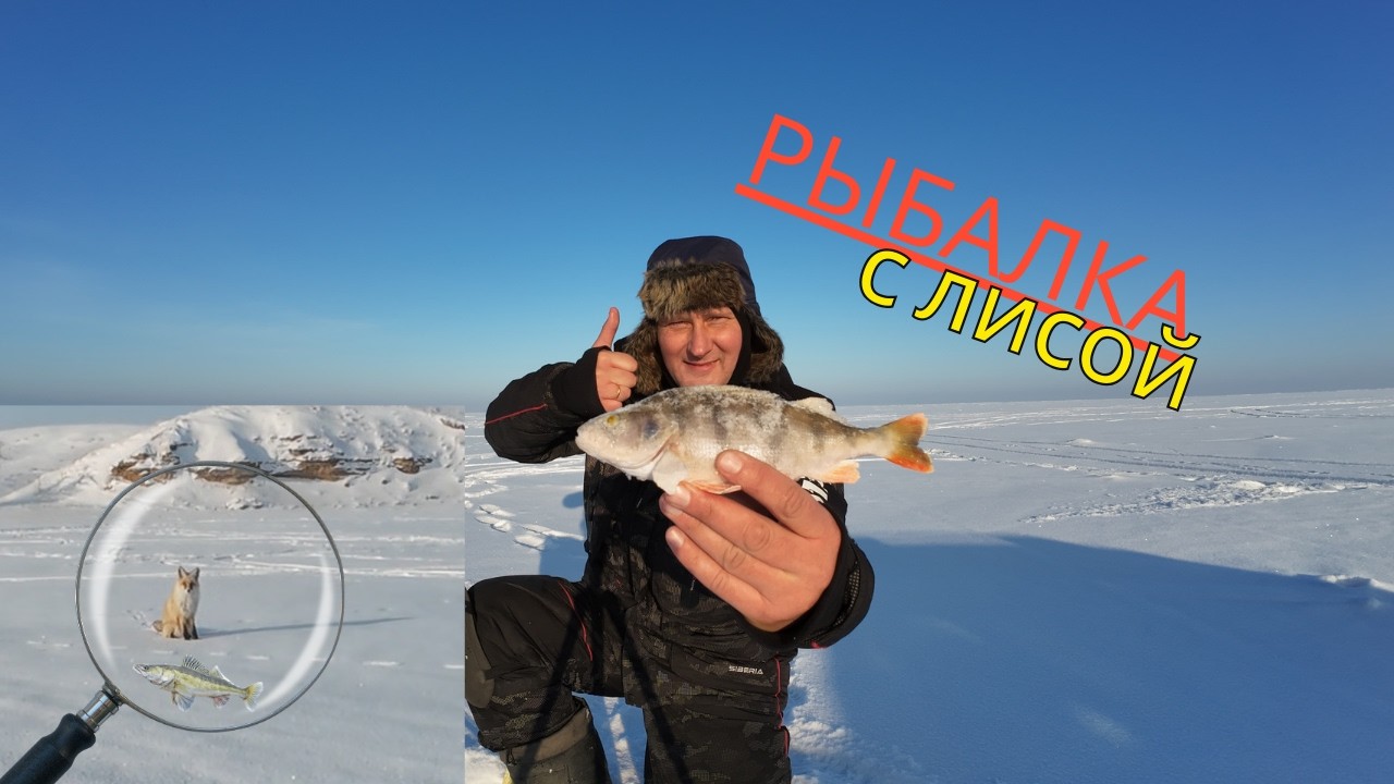 Нарвался на ЛУНКУ с СУДАКАМИ. Рыбалка с ЛИСОЙ