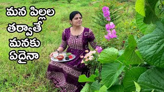 మన పిల్లల తర్వాతే మనకేదైనా||A Random day at our Farm||B like Bindu