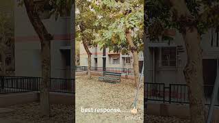 #autumnlandscape #dryleaves # lovelyweather