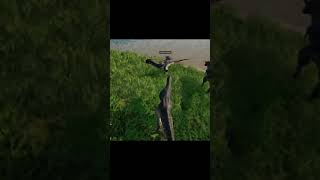 this is why you dont taunt the Deinos in The Isle