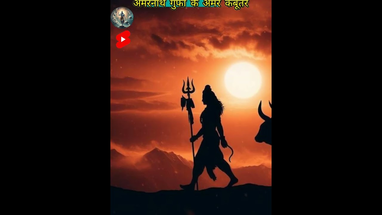 अमरनाथ गुफा के अमर कबूतर?रहस्यमय?