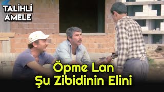 Talihli Amele - Mehmet Ali El Öpüyor