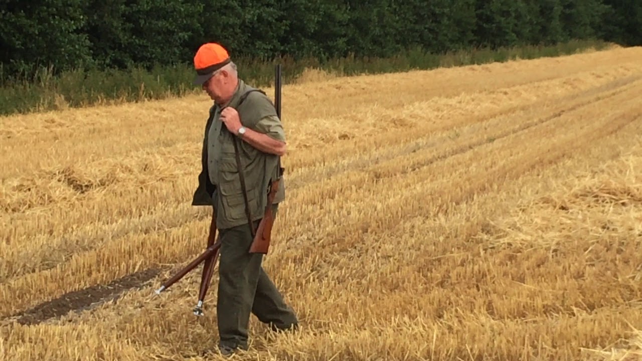 Almanya da Av Jagd In Deutschland Hunting In Germany 2 YouTube almanya-da-av-jagd-in-deutschland-hunting-in-germany-2-youtube