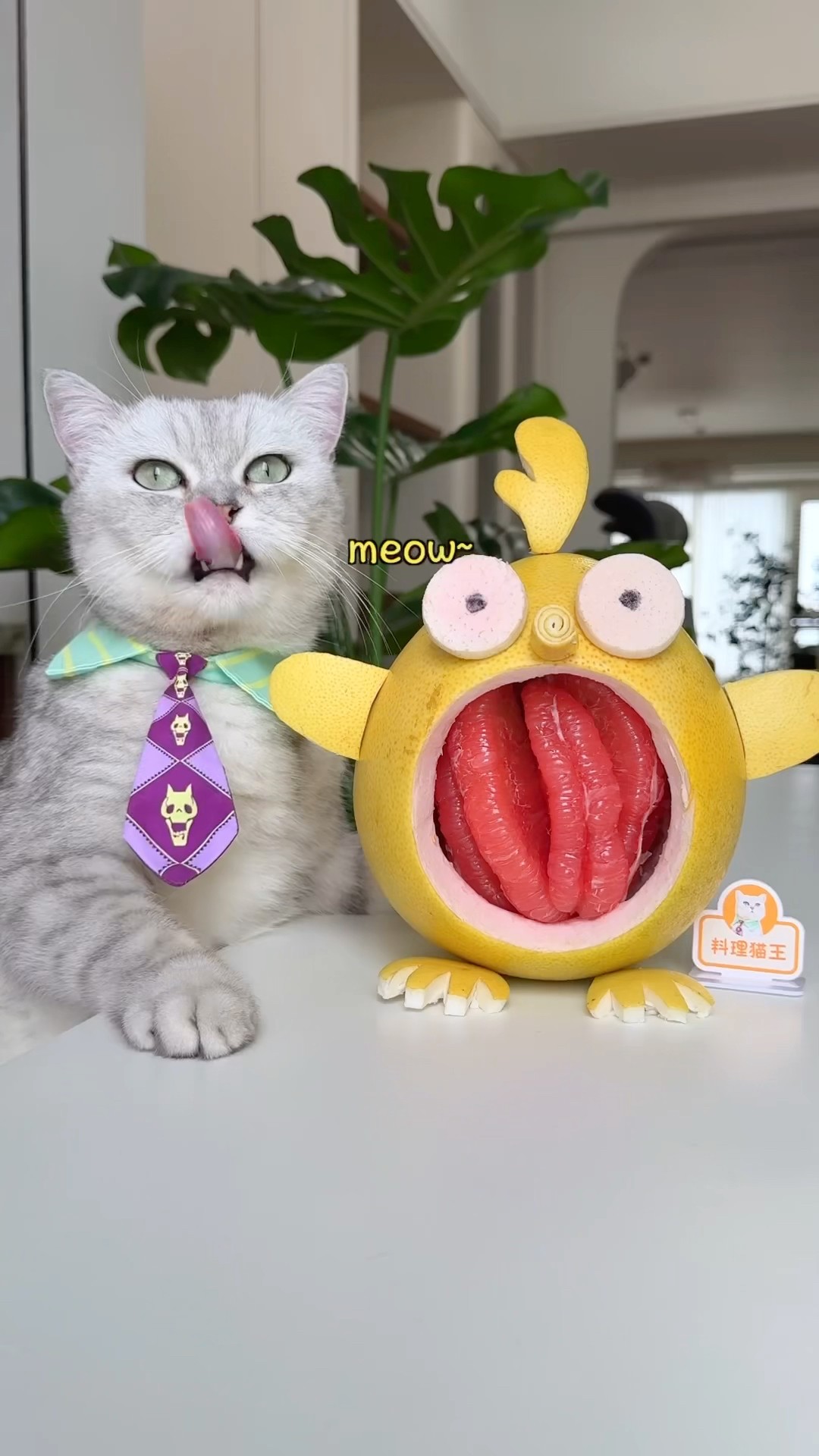 Chicken grapefruit，It's so cute.? #music #cat #fruits