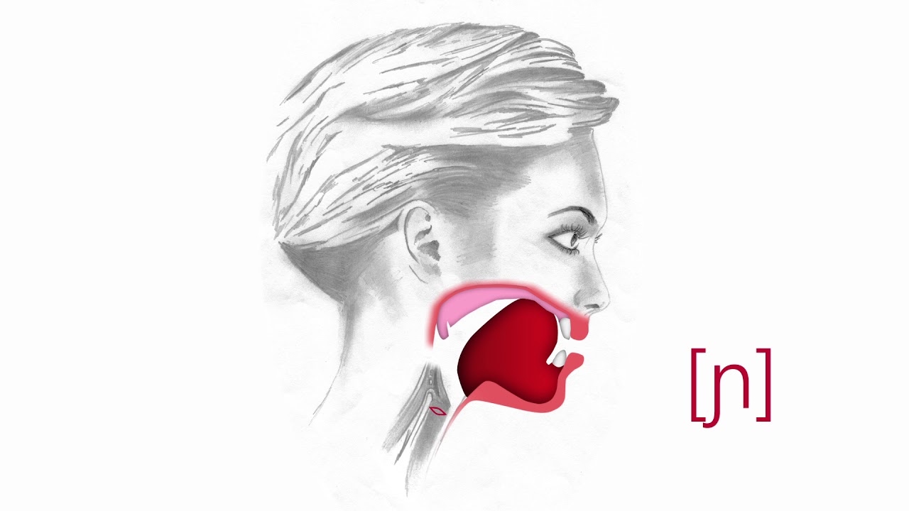 PRONUNCIACIÓN DE LA Ñ (NASAL PALATAL SONORA) EN ESPAÑOL [ɲ] (ej. España