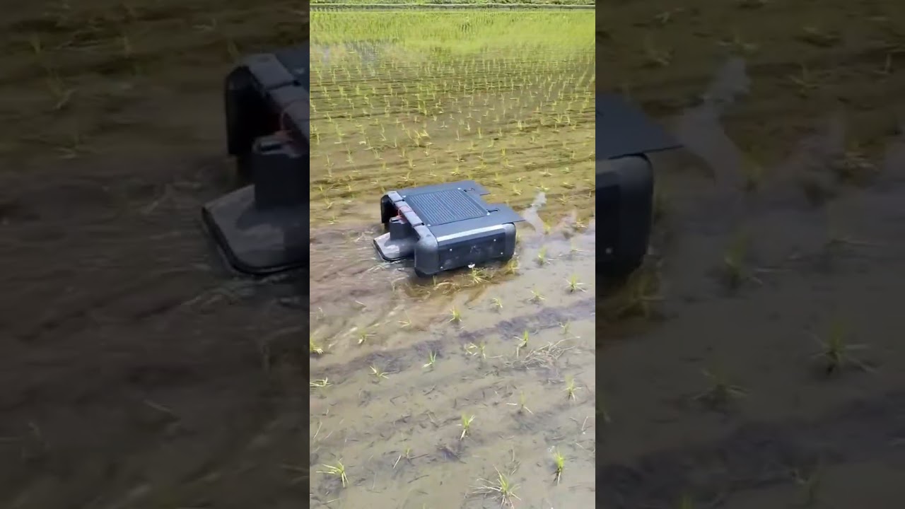 Robot for weeding fields - end of all weeds!
