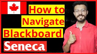 How to Navigate Blackboard || Seneca college | Must Watch || May 2021 || Everything you need to Know