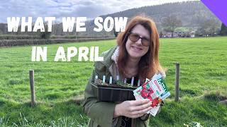 What To Sow In April - Allotment Gardening For Beginners UK