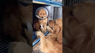 This just melts my heart 😭❤️‍🩹