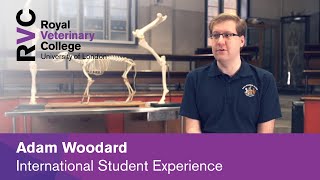 Adam Woodard - International Student Experience