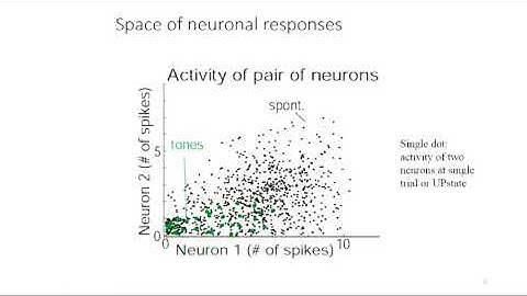 Analysis of Neural Population Data (Artur Luczak, University of Lethbridge)
