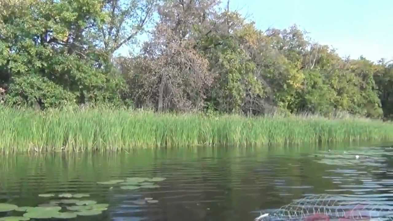 Река медведица жирновск