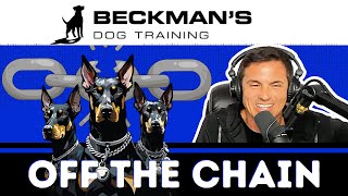 Unreleased Clip — Help Me Find the Magic (Corgi vs. My Dobermans) & Hater of the week