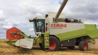 Moisson de l'escourgeon 2016
