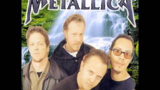 Metallica - Acoustic Metal (1997)