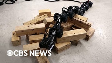 Technology pioneer develops robot snakes
