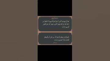 سورة الزمر الآيات 53-54 | تلاوة الشيخ إسلام صبحي #قرآن