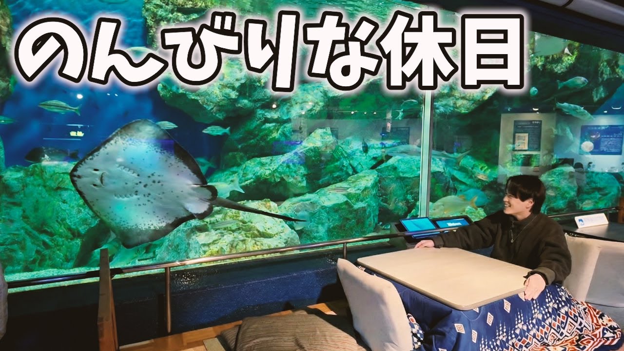 【碧南Vlog】水族館にこたつ!? 結婚式に悩む20代夫婦のゆるい休日