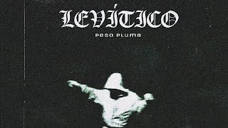 RARI (V. DINASTÍA) - Peso Pluma, DDI LABEL - LEVÍTICO concept