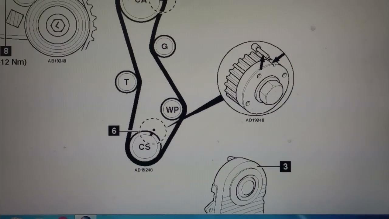 timing belts/cinghia distribuzione/curea distribuție KIA carens 2.0